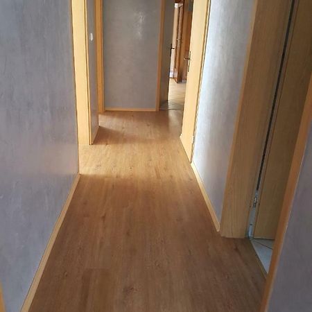 Ferienwohnung Regenbogen Kappel-Grafenhausen Ngoại thất bức ảnh